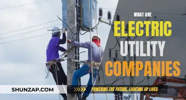 Electric Utility Companies: Powering Our Homes and Businesses