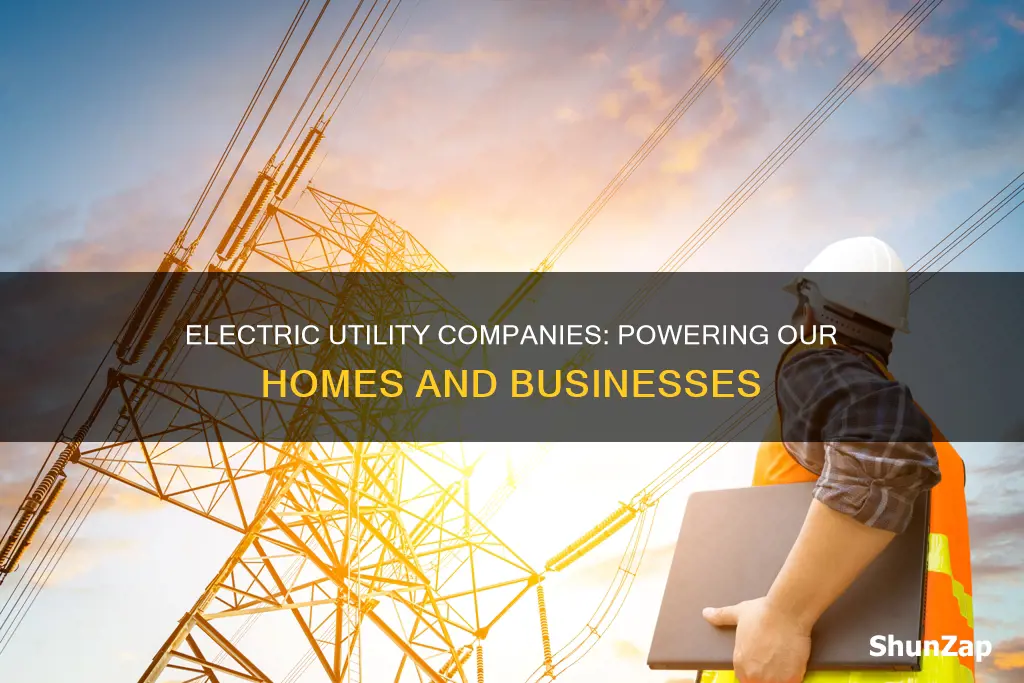 what are electric utility companies