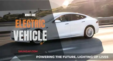 Electric Vehicles: Powering the Future of Transportation