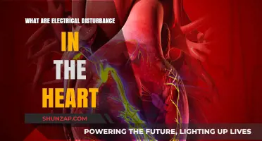 Electrical Disturbances: Heart's Unseen Irregularities