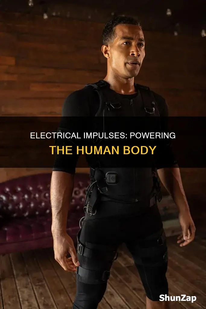 what are electrical impulses in the body