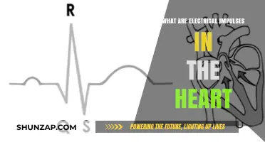 Electrical Impulses: Heart's Natural Pacemaker