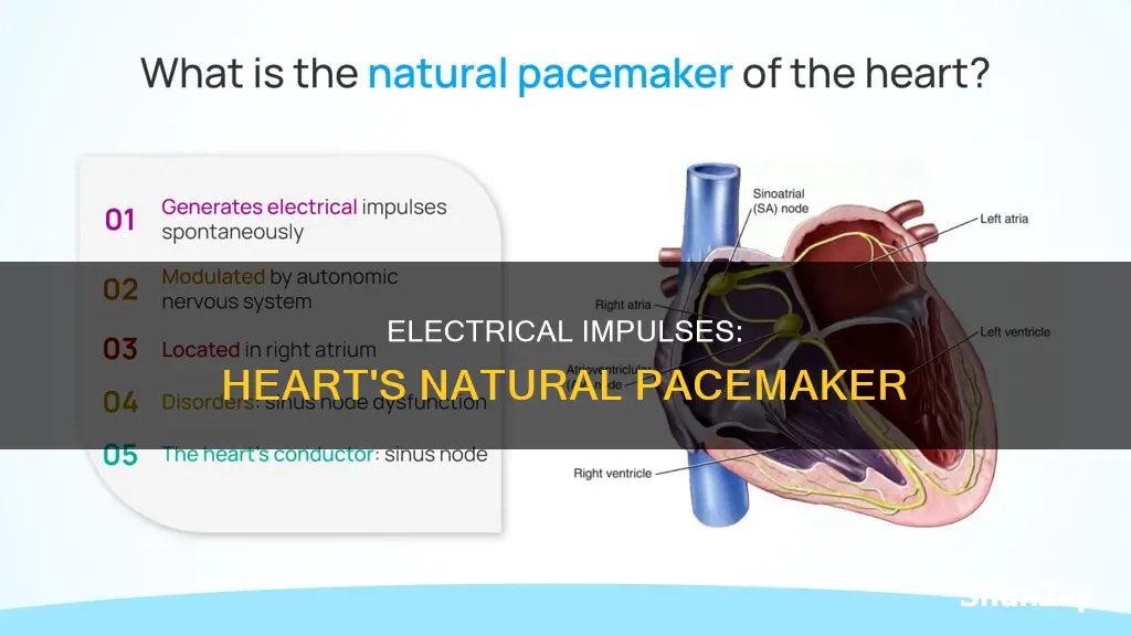 what are electrical impulses in the heart