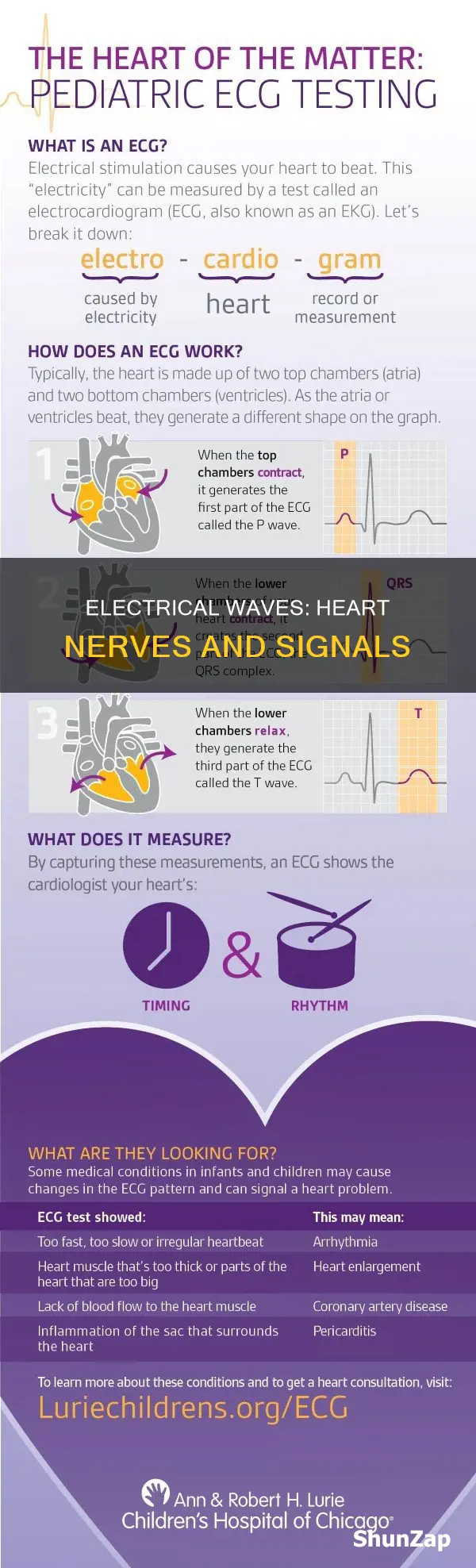 what are electrical waves through heart nerves