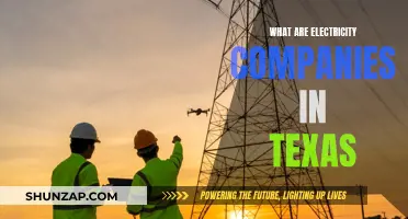 Electricity Companies in Texas: A Comprehensive Overview