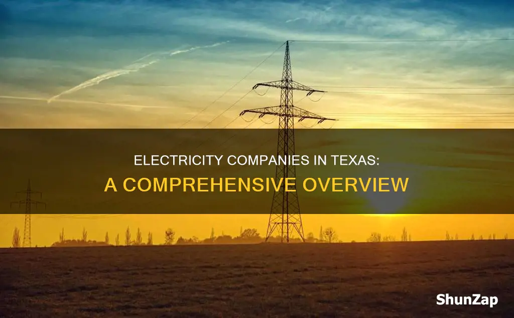 what are electricity companies in texas