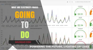 Electricity Prices: What's the Future Outlook?