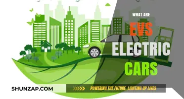 Understanding EVS: The Rise of Electric Cars and Their Impact
