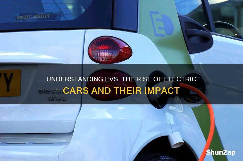 what are evs electric cars