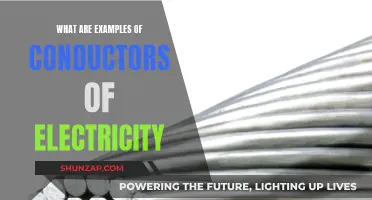 Conductors of Electricity: Examples and Their Unique Properties