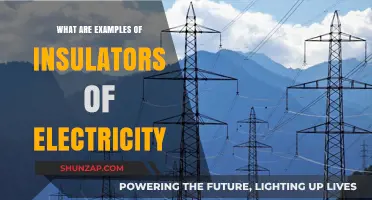 Insulating Materials: Examples of Electricity Insulators