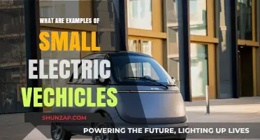 Electric Revolution: Small, Nimble, and Green Vehicles