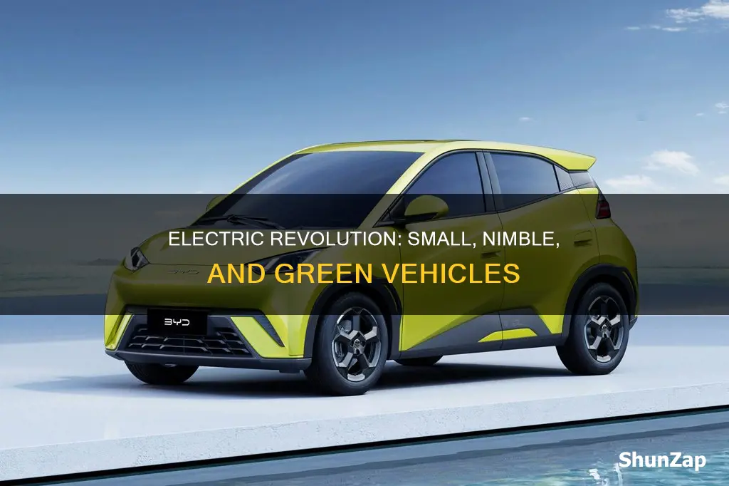 what are examples of small electric vechicles