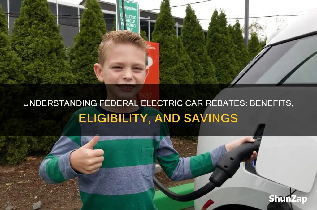 what are federal electric car rebates