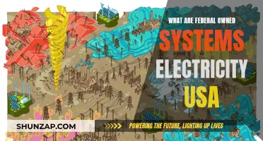 Federal-Owned Power Systems: USA's Electricity Sources
