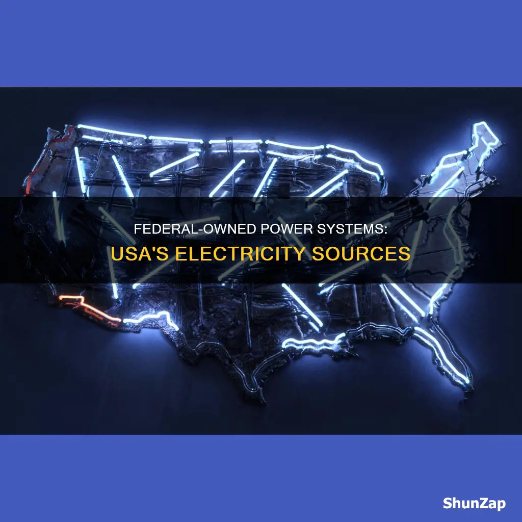 what are federal owned systems electricity usa