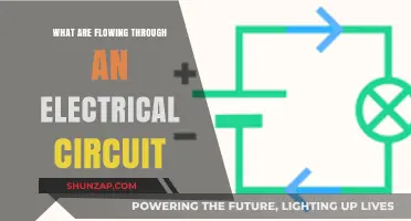 Understanding Electrical Circuit Flow: What's Moving?