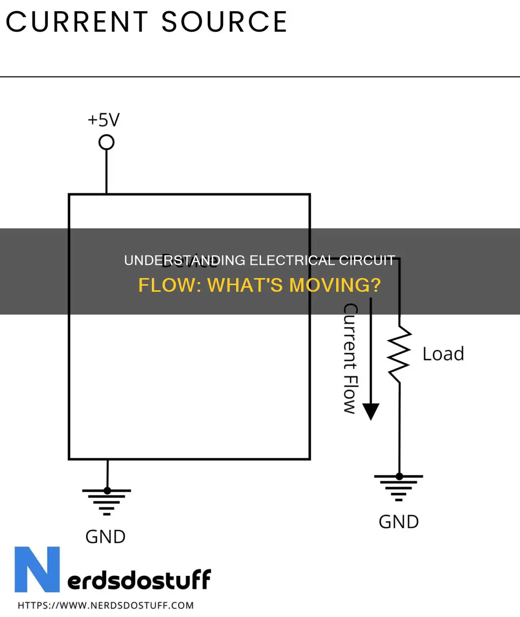 what are flowing through an electrical circuit