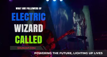 Electric Wizard Fans: A Cult Following