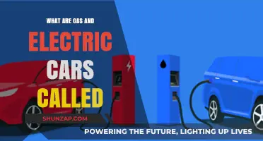 Gas vs. Electric: Understanding the Names of Modern Vehicles