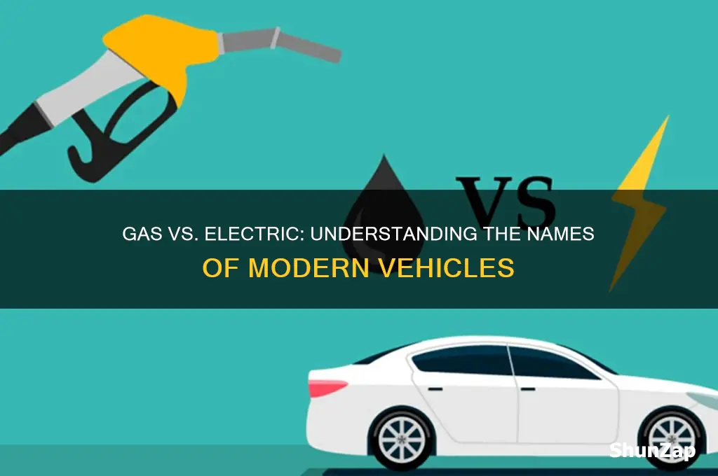 what are gas and electric cars called