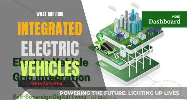 Grid-Integrated Electric Vehicles: Powering a Sustainable Future