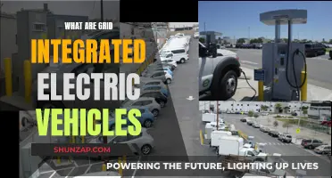 Electric Vehicles: Grid Integration and the Future of Energy