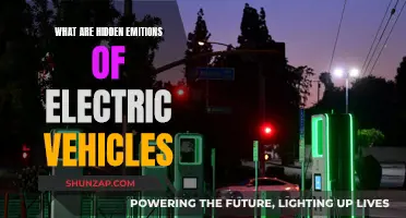 Electric Vehicles: Uncovering the Hidden Emotions and Appeals