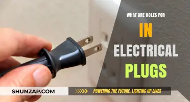 Why Do Electrical Plugs Have Holes?