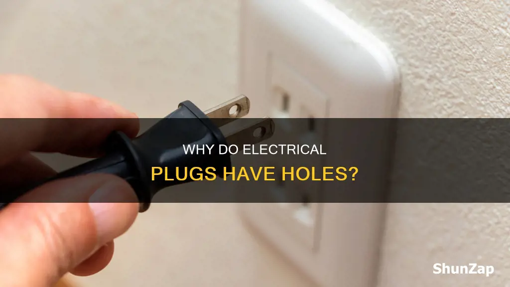 what are holes for in electrical plugs