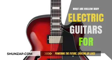 The Hollow Body Electric Guitar: What's it For?