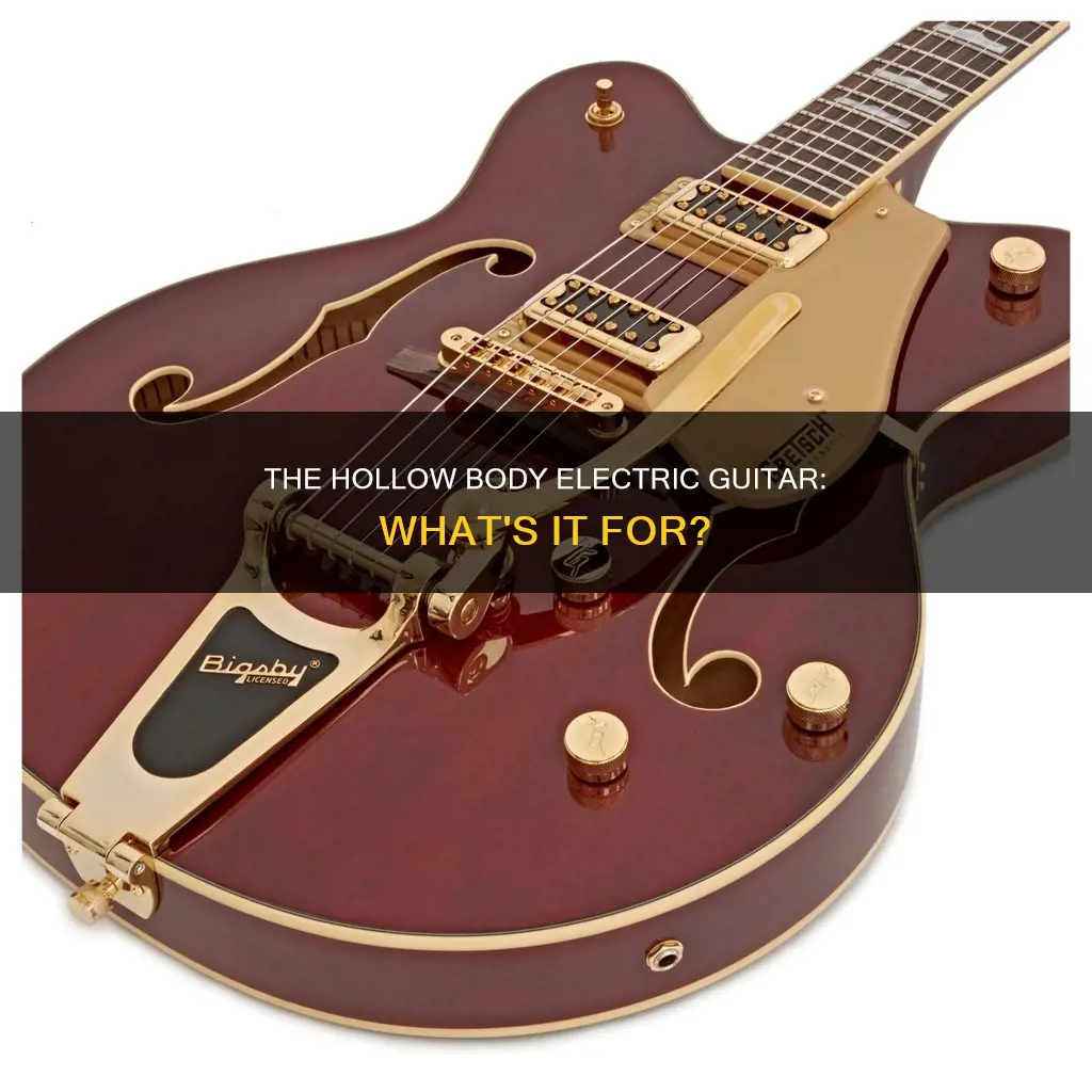 what are hollow body electric guitars for