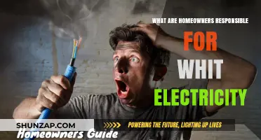Electricity and Homeowners: What's Your Responsibility?
