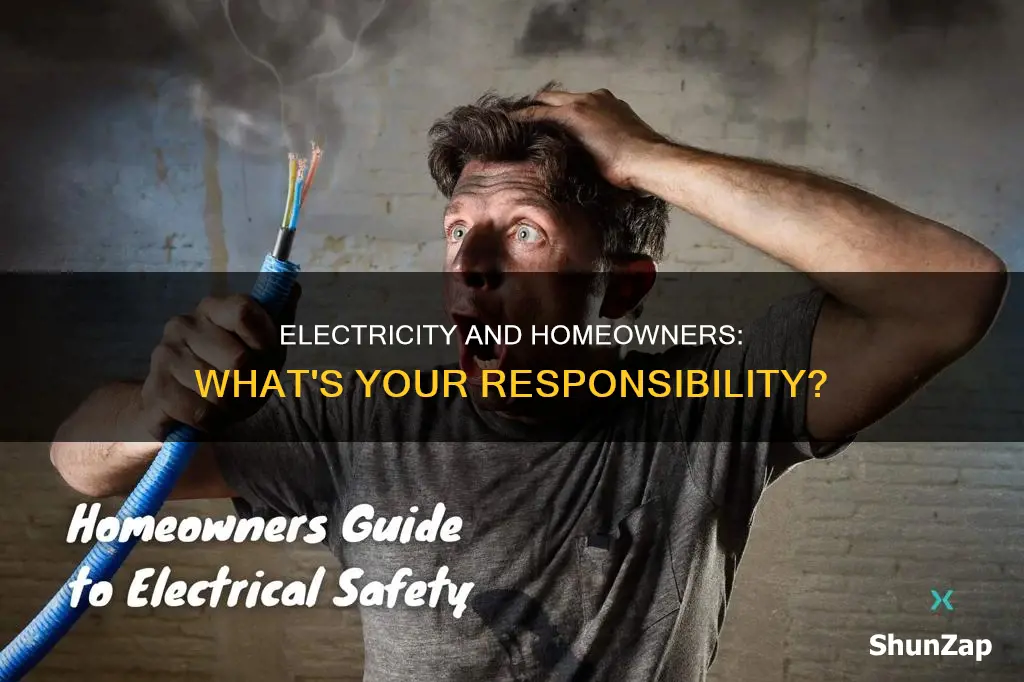 what are homeowners responsible for whit electricity