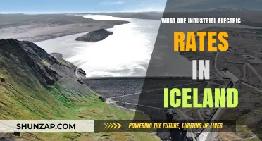 Iceland's Industrial Electric Rates: A Competitive Advantage?