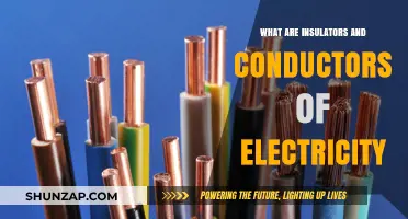 Conductors and Insulators: Electric Current Friends and Foes