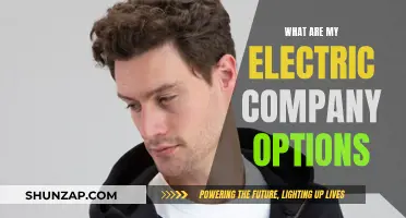 Electric Company Options: Exploring Your Energy Provider Choices