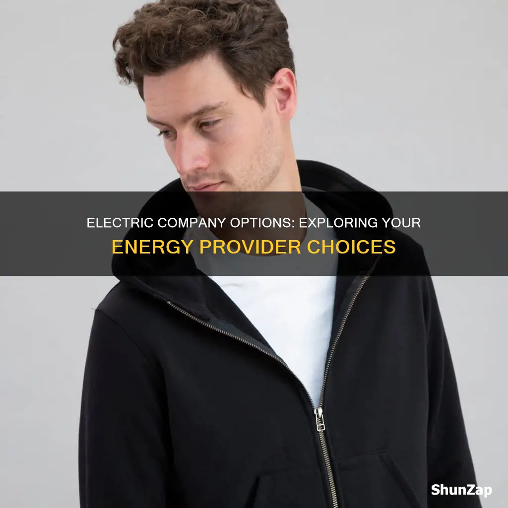 what are my electric company options