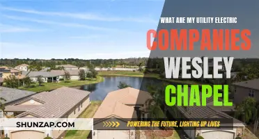 Utility Electric Companies Serving Wesley Chapel: Who Are They?