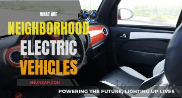 Electric Vehicles for Neighborhoods: Understanding Their Use and Benefits