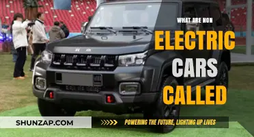 Exploring Non-Electric Vehicles: What Are They Called and How Do They Work?
