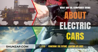 How Oil Companies Are Adapting to the Electric Vehicle Revolution