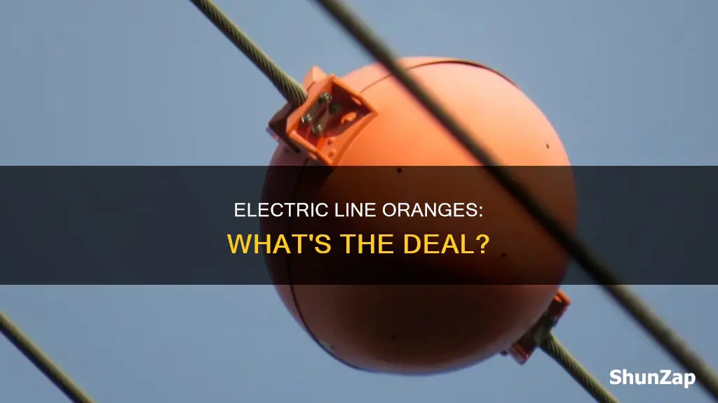 what are orange balls on electric lines
