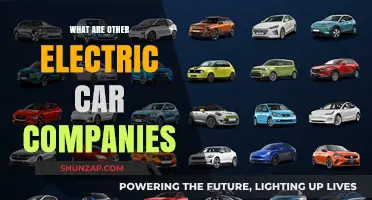 Beyond Tesla: Exploring the Growing Electric Car Companies Landscape