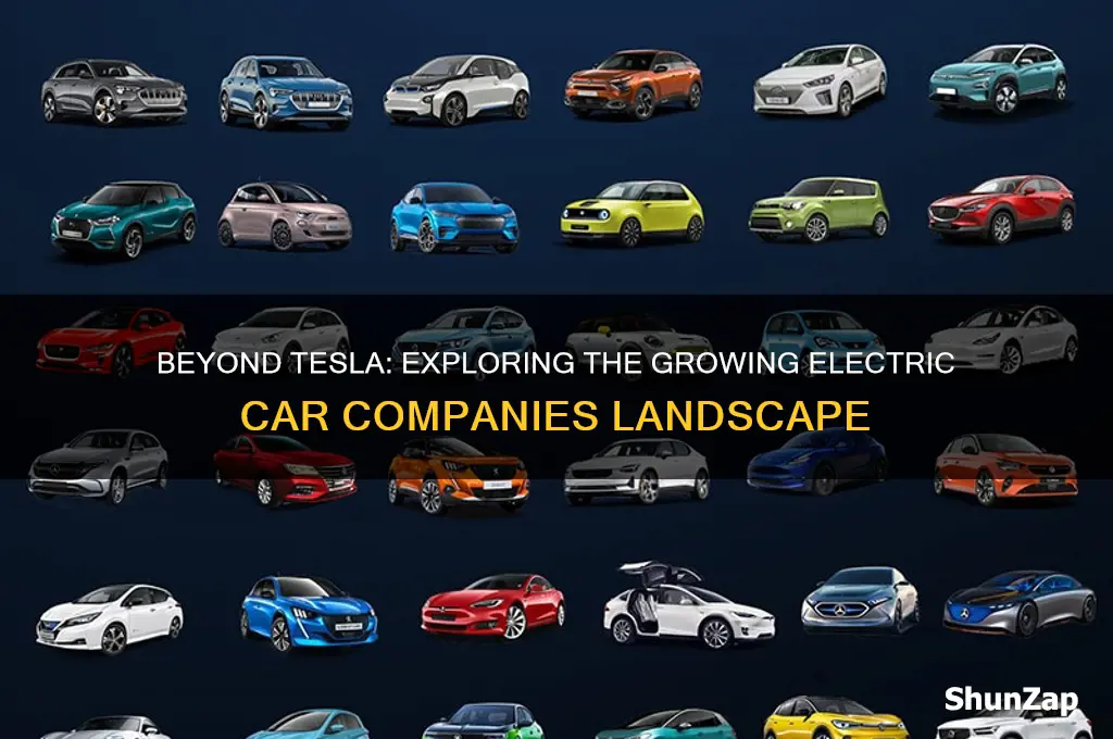 what are other electric car companies