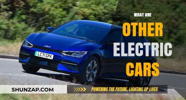 Exploring the Diverse World of Electric Vehicles Beyond Tesla
