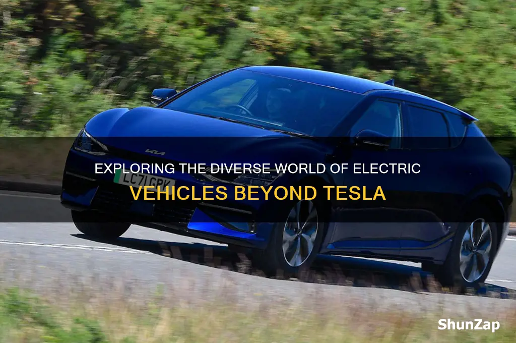 what are other electric cars