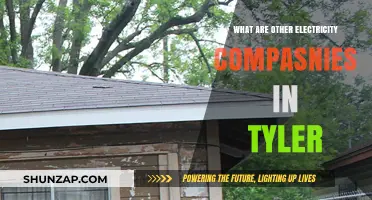 Electricity Companies in Tyler: Exploring Your Options