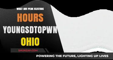 Electricity Pricing: Peak Hours in Youngstown, Ohio