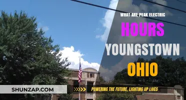 Electricity Demand in Youngstown, Ohio: Peak Hours Explored